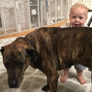 Meet your Posher, Brenna